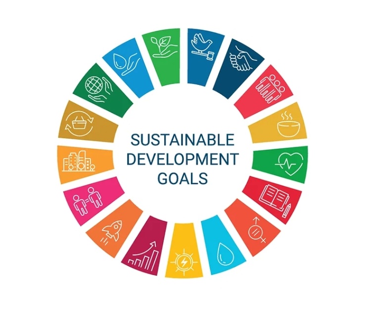 Sustainable Development Goals and Their Impact on Asia: Progress, Challenges, and the Path Forward